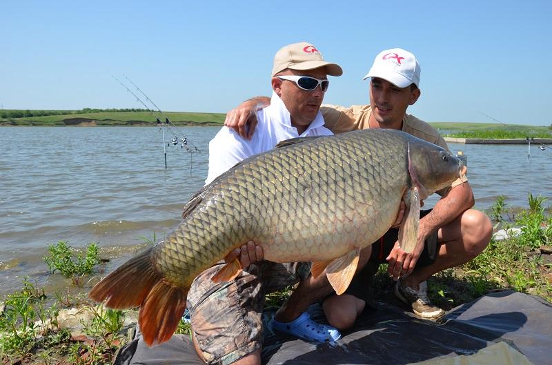 CUPA BECKER SARULESTI